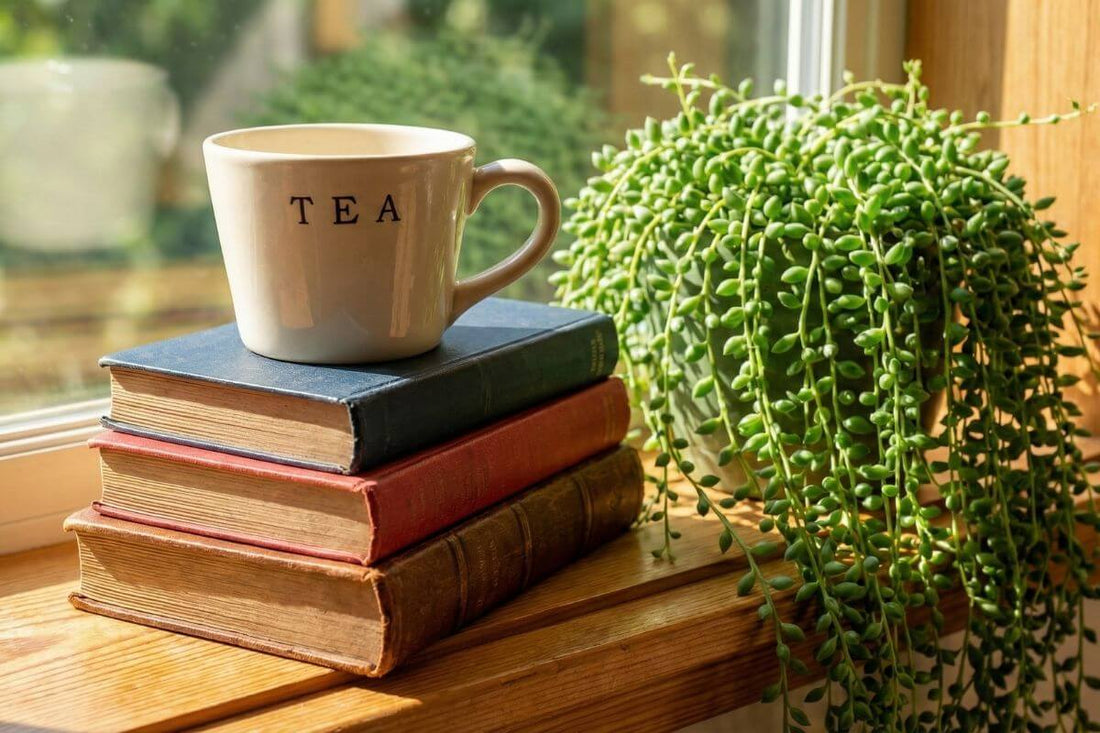 Starting the Year with Small, Steady Routines
