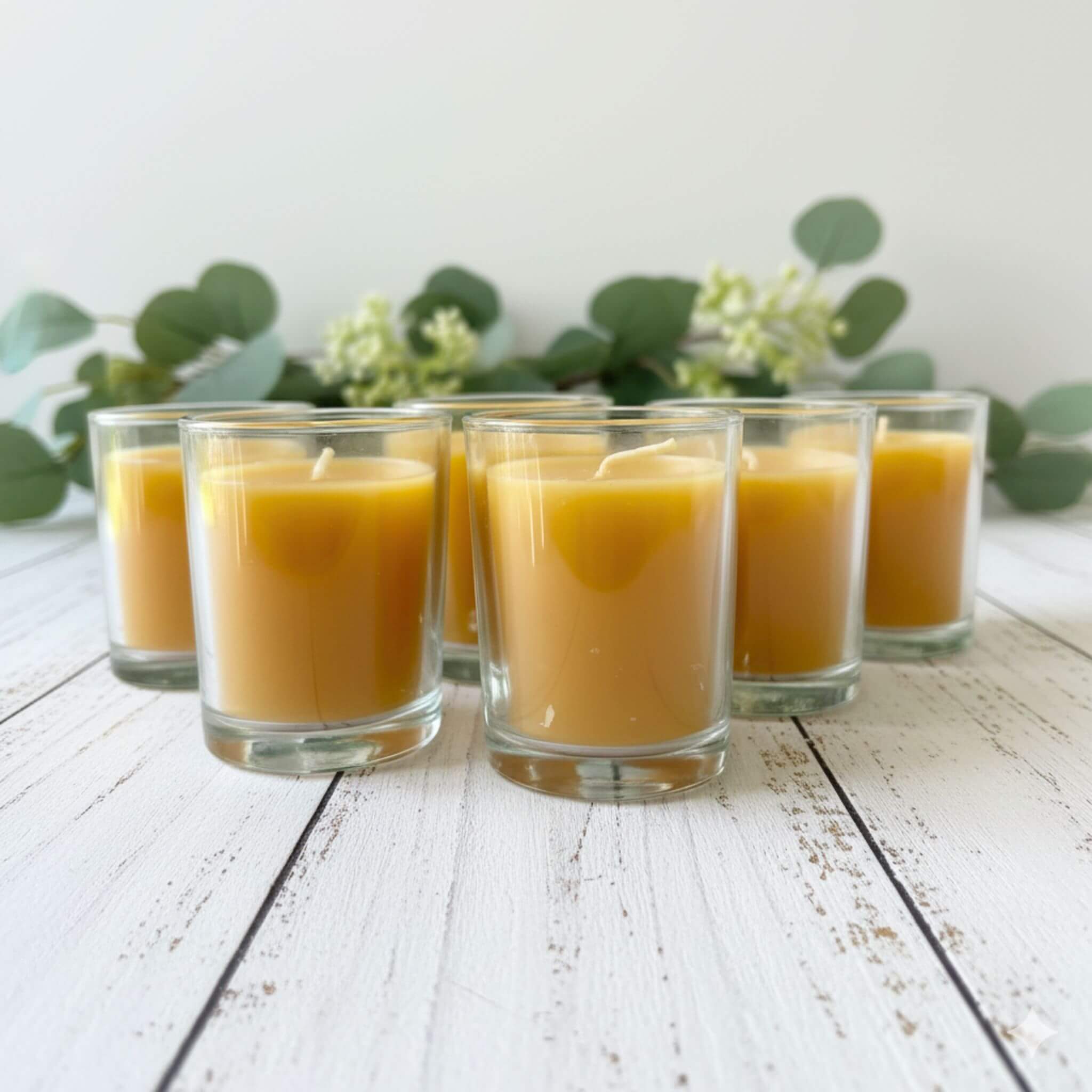 Blossom and Hive beeswax votives in glass candle holders  - 6 pack, placed on a white background with blurred greenery at the back